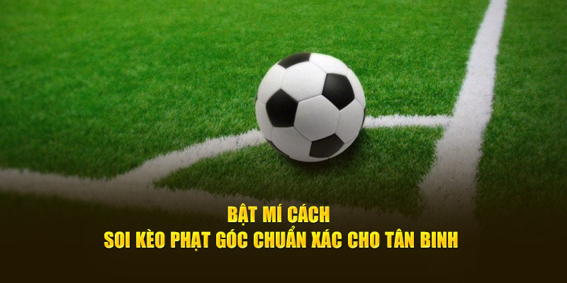 Bật mí cách soi kèo phạt góc chuẩn xác cho tân binh