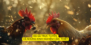 đá gà trực tuyến